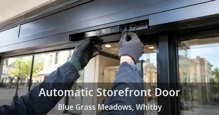 Automatic Storefront Door Blue Grass Meadows, Whitby - ON