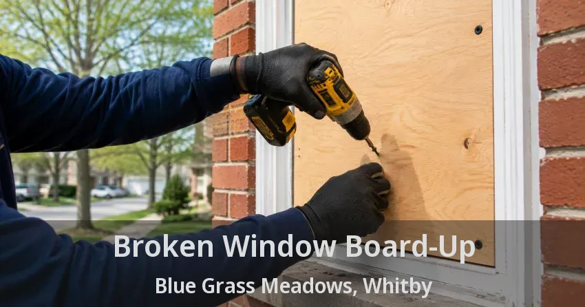 Broken Window Board-Up Blue Grass Meadows, Whitby - ON