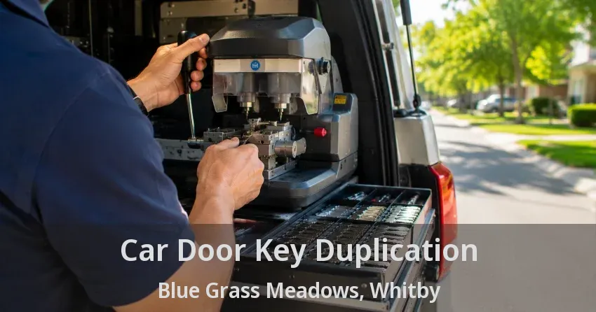 Car Door Key Duplication Blue Grass Meadows, Whitby - ON