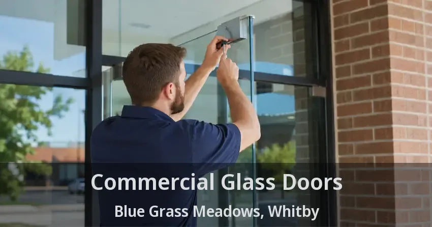 Commercial Glass Doors Blue Grass Meadows, Whitby - ON