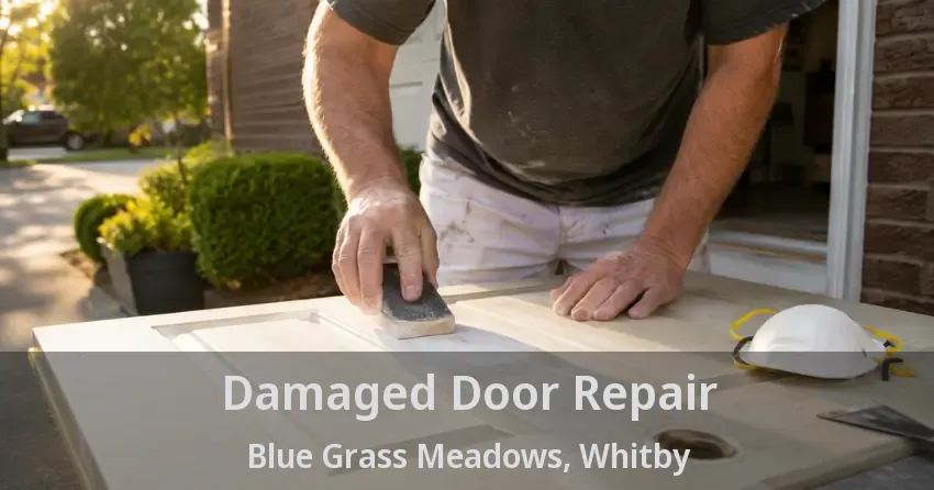 Damaged Door Repair Blue Grass Meadows, Whitby - ON