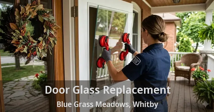 Door Glass Replacement Blue Grass Meadows, Whitby - ON