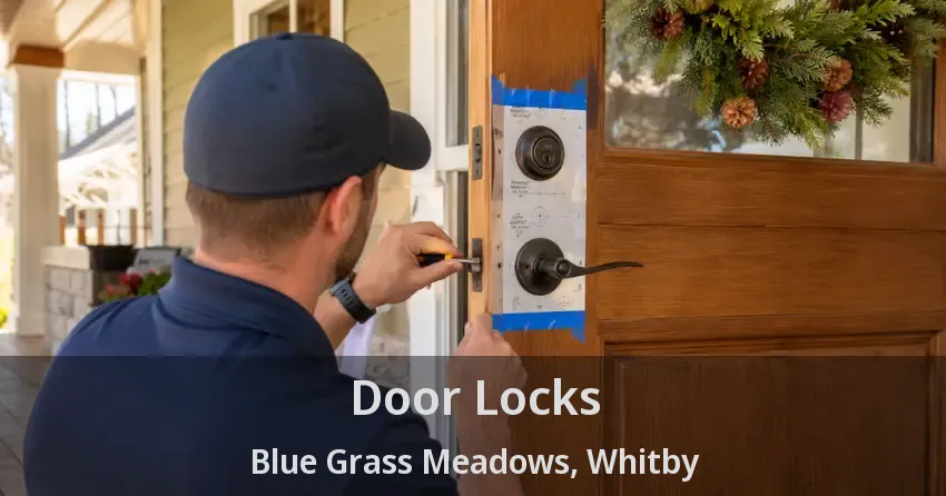 Door Locks Blue Grass Meadows, Whitby - ON