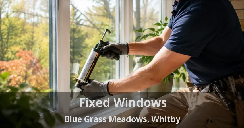 Fixed Windows Blue Grass Meadows, Whitby - ON