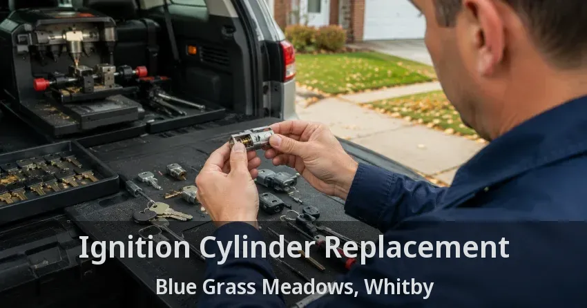 Ignition Cylinder Replacement Blue Grass Meadows, Whitby - ON