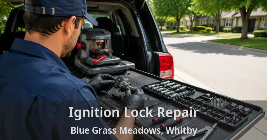 Ignition Lock Repair Blue Grass Meadows, Whitby - ON