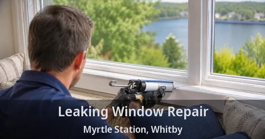 Leaking Window Repair Myrtle Station, Whitby - ON