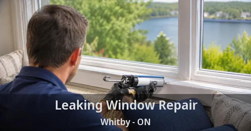 Leaking Window Repair Whitby - ON