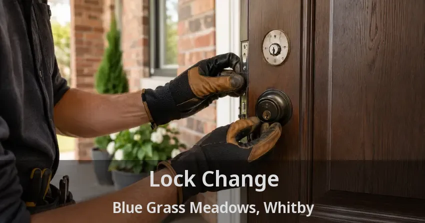 Lock Change Blue Grass Meadows, Whitby - ON