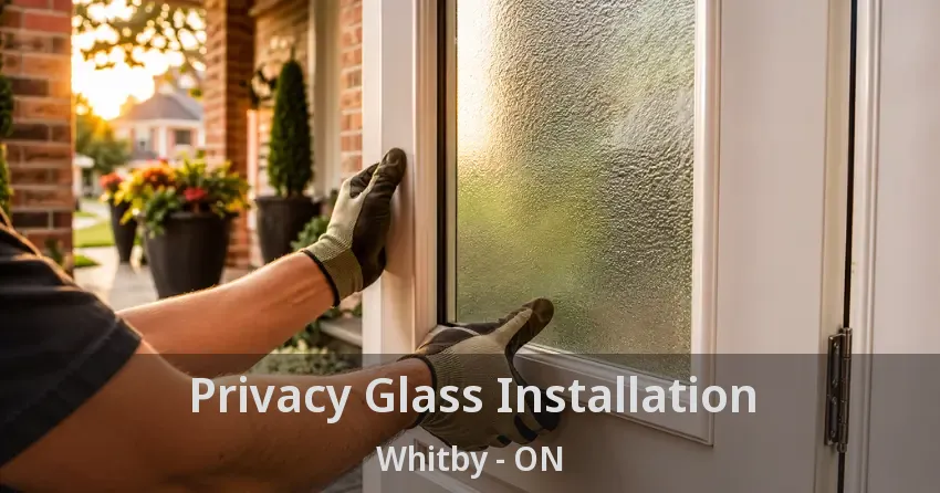 Privacy Glass Installation Whitby - ON