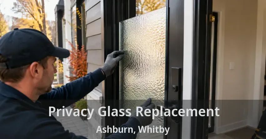 Privacy Glass Replacement Ashburn, Whitby - ON