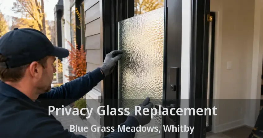 Privacy Glass Replacement Blue Grass Meadows, Whitby - ON