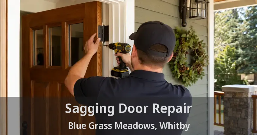 Sagging Door Repair Blue Grass Meadows, Whitby - ON