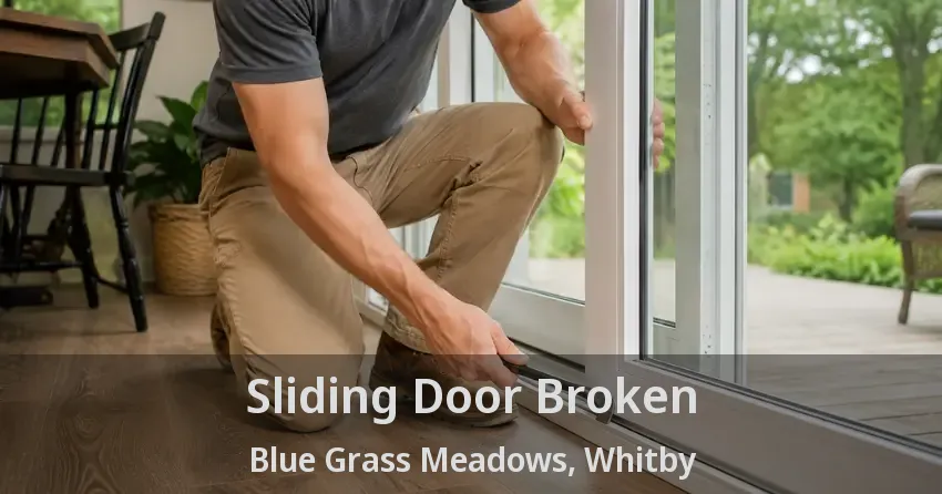 Sliding Door Broken Blue Grass Meadows, Whitby - ON