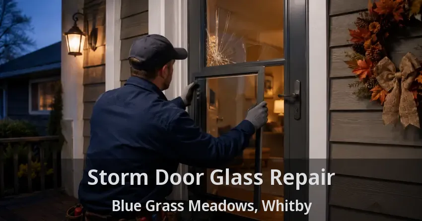 Storm Door Glass Repair Blue Grass Meadows, Whitby - ON