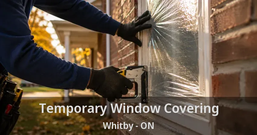 Temporary Window Covering Whitby - ON