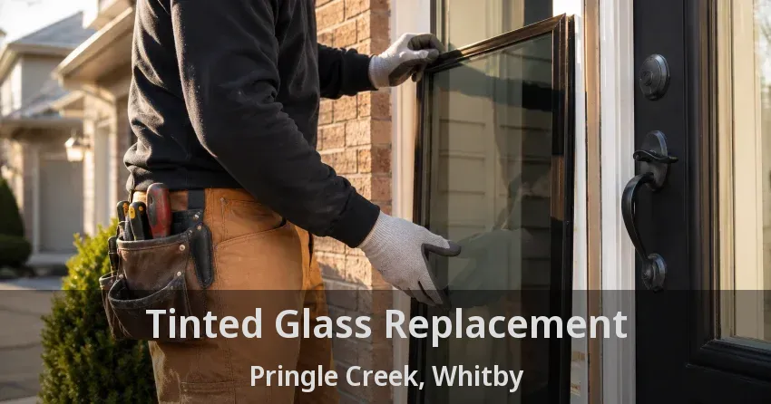 Tinted Glass Replacement Pringle Creek, Whitby - ON