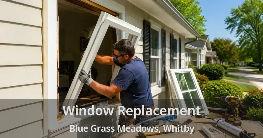 Window Replacement Blue Grass Meadows, Whitby - ON