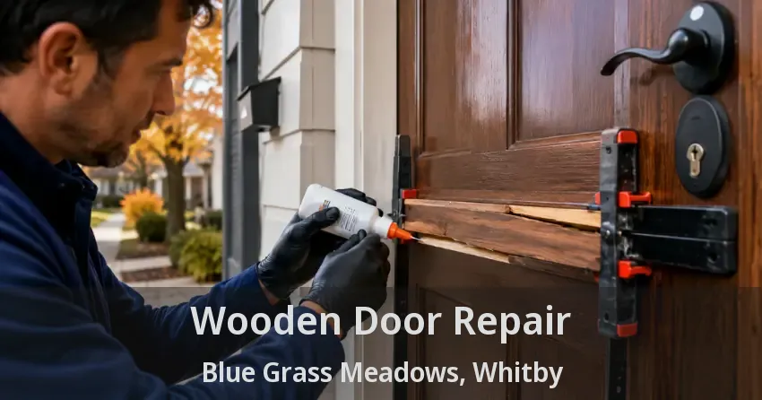 Wooden Door Repair Blue Grass Meadows, Whitby - ON